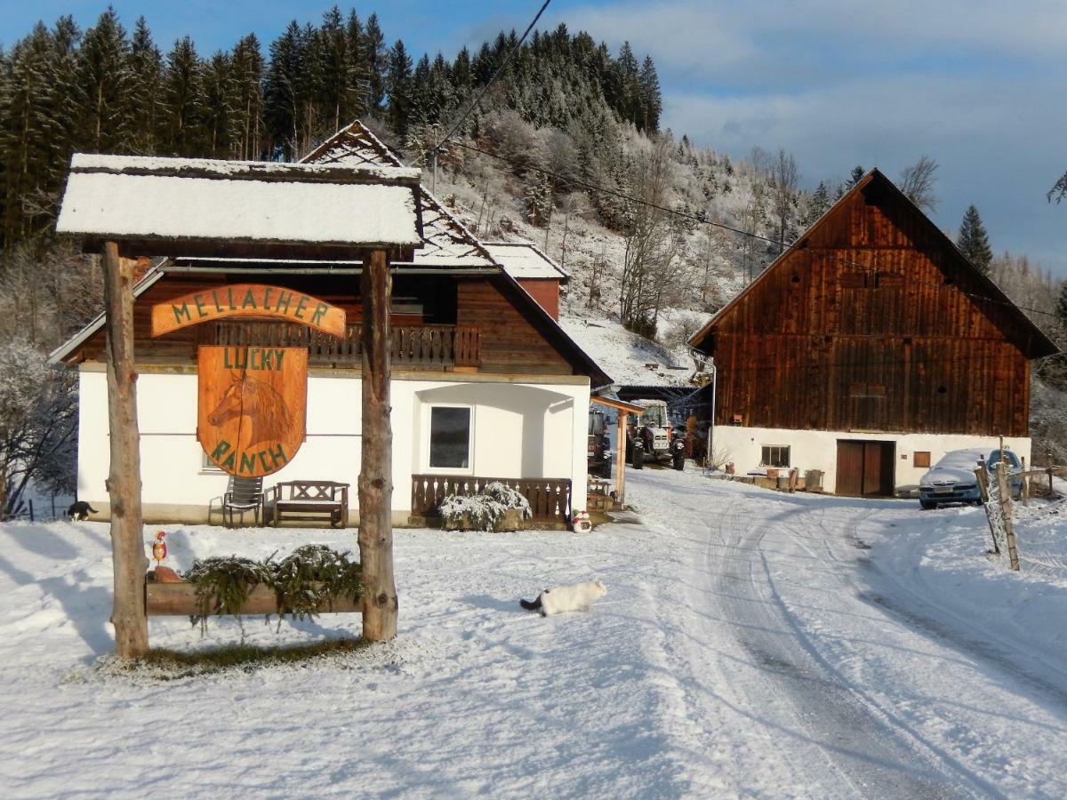 Ferienhaus Am Reitbauernhof Luckyranch Mellach  Eksteriør bilde